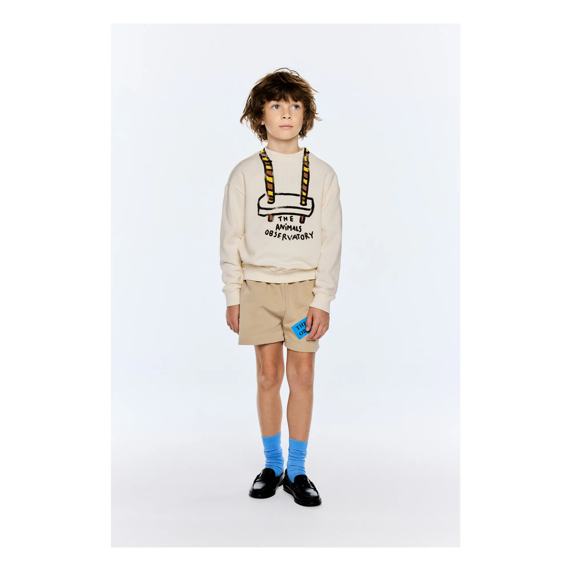 Short Hedgehog The Animals Observatory | Naturel- Image produit n°1