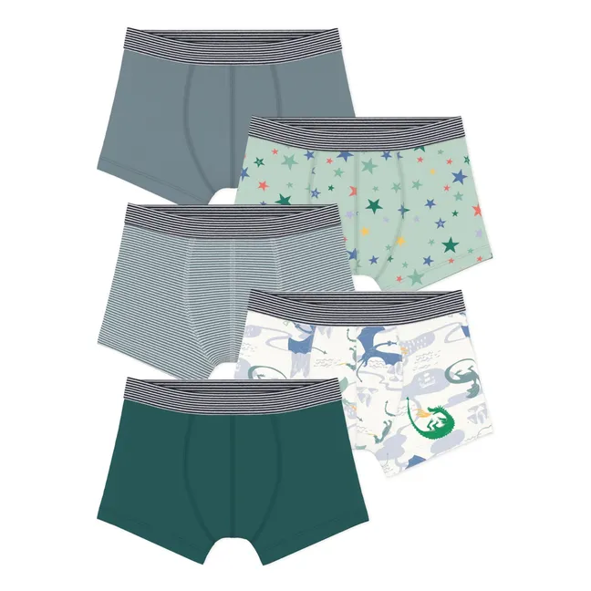 Pack of 5 Organic Cotton Dragon Boxers | Green