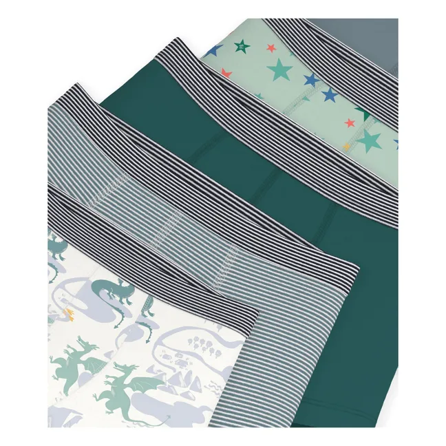 Lot de 5 Boxers Dragons Coton Bio | Vert