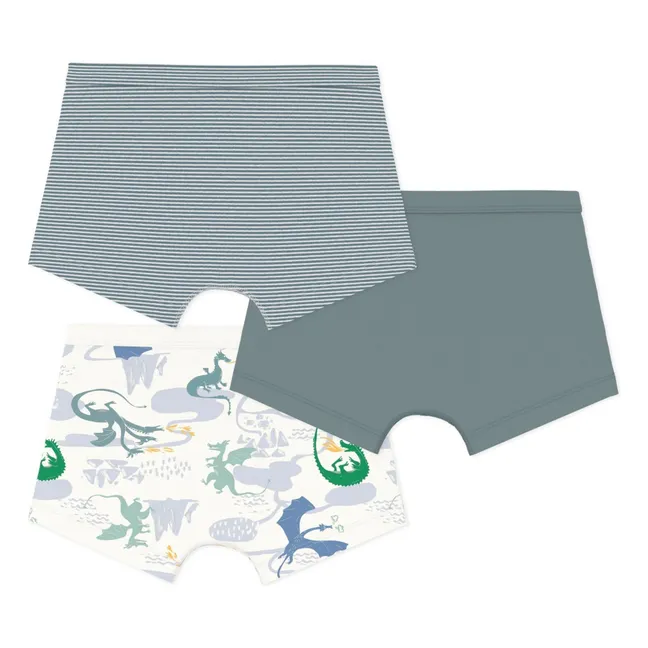 Lot de 3 Boxers Dragons Coton Bio | Vert