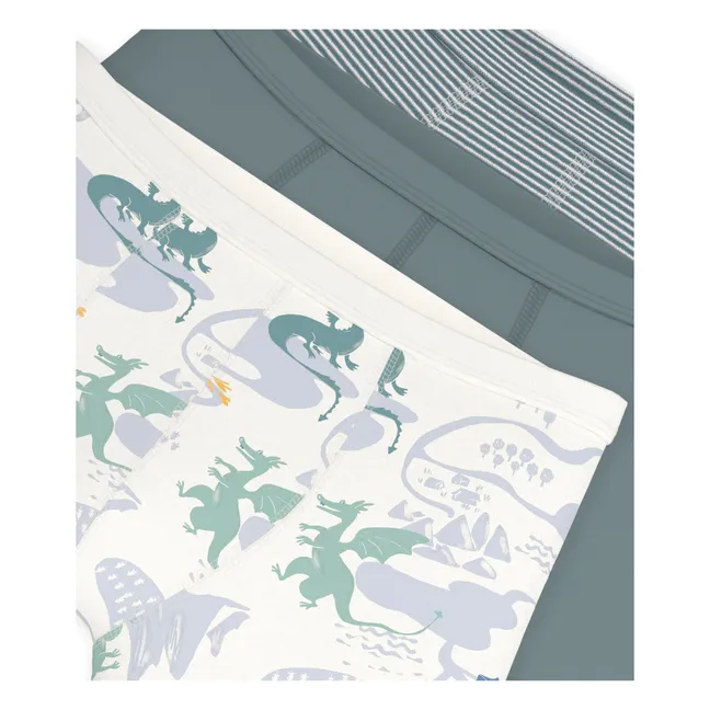 Lot de 3 Boxers Dragons Coton Bio | Vert