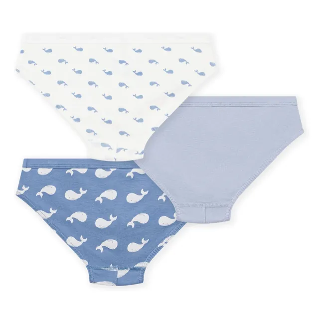 Lot de 3 Slips Baleines Coton Bio | Bleu