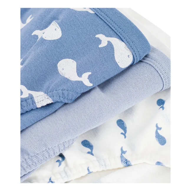 Lot de 3 Slips Baleines Coton Bio | Bleu