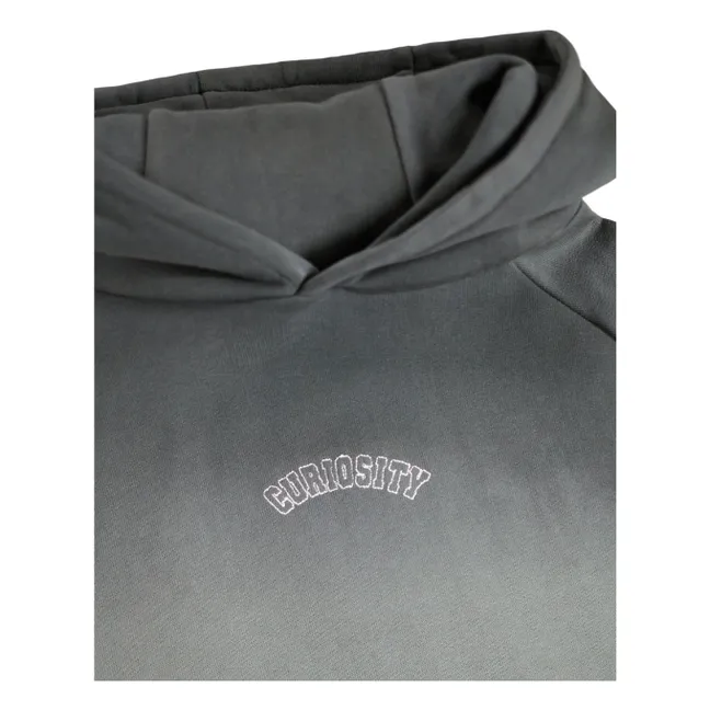 Mic Curiosity Hoodie Organic Cotton | Grey
