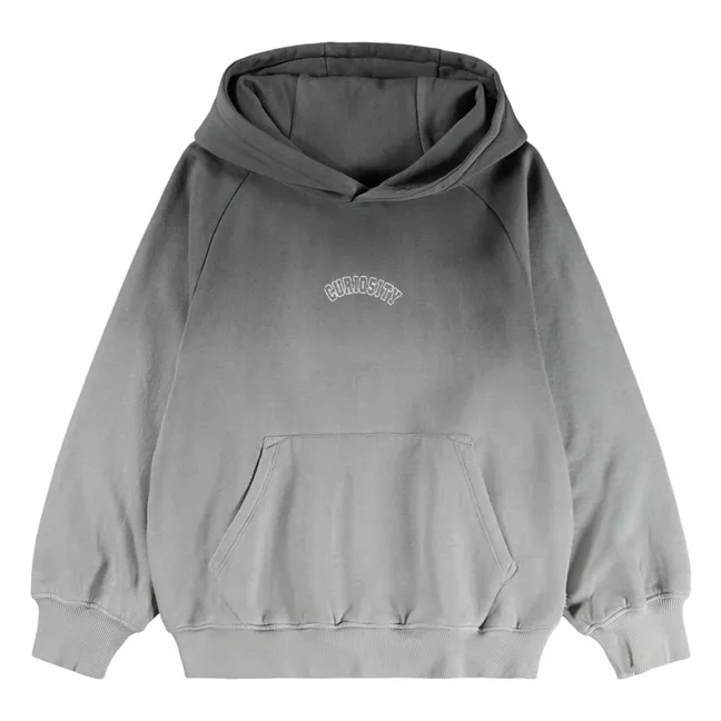 Sweat Capuche Mic Curiosity Coton Bio | Gris