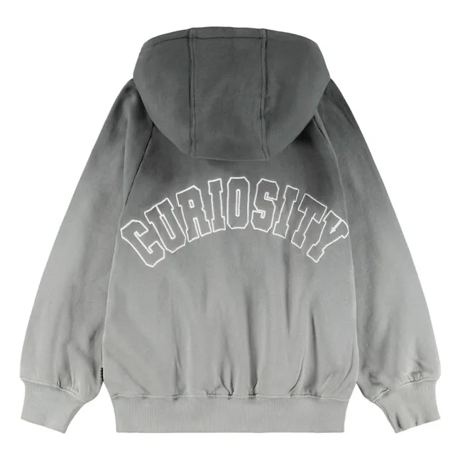 Sweat Capuche Mic Curiosity Coton Bio | Gris