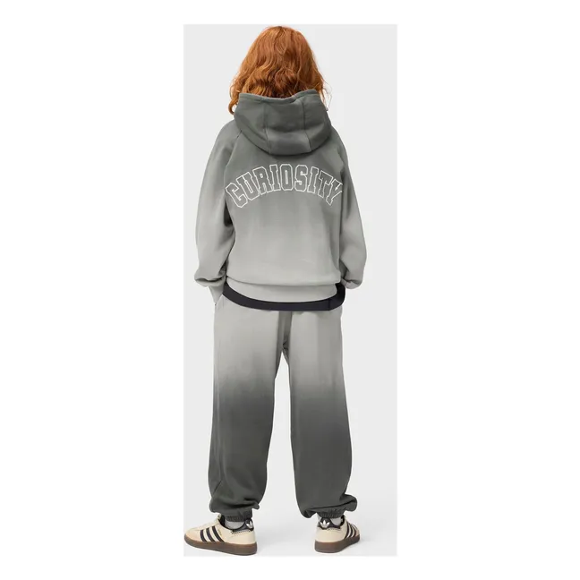 Sweat Capuche Mic Curiosity Coton Bio | Gris