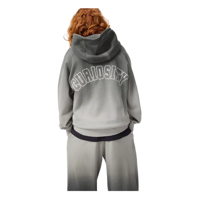 Mic Curiosity Hoodie Organic Cotton | Grey