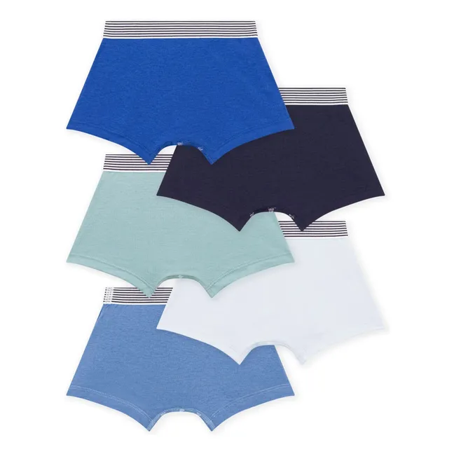 Pack de 5 calzoncillos a rayas de algodón ecológico | Azul