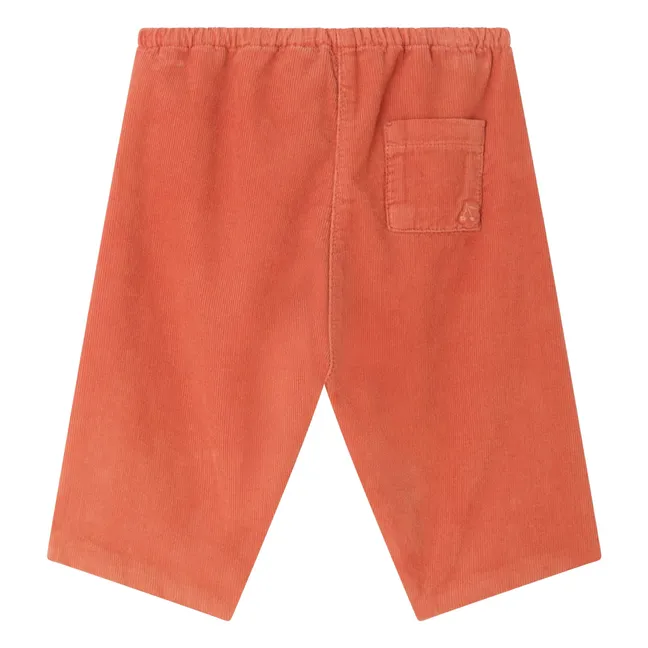 Pantalon Dandy Coton Bio | Abricot