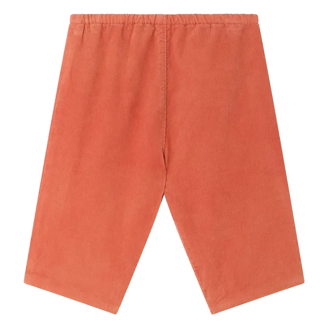 Pantalon Dandy Coton Bio | Abricot