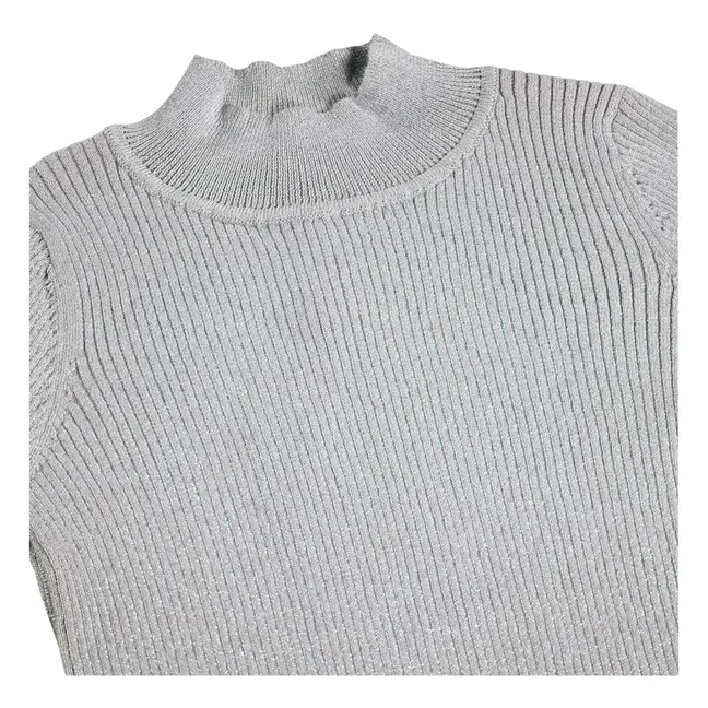 Ginevra organic cotton turtleneck | Silver