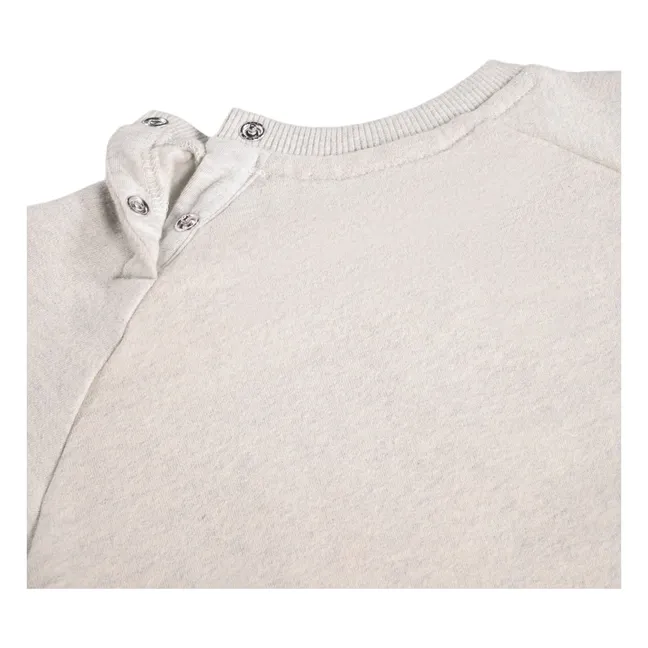 Pull Disc Chat Coton Bio | Gris chiné