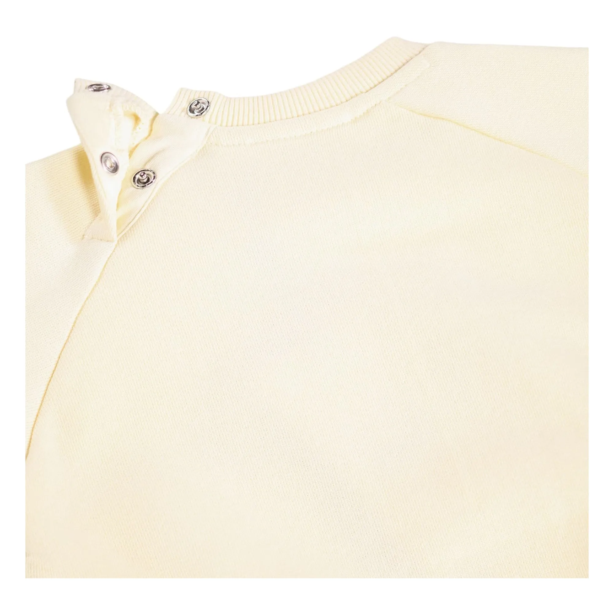 Pull Disc Chien Coton Bio | Ivoire- Image produit n°3