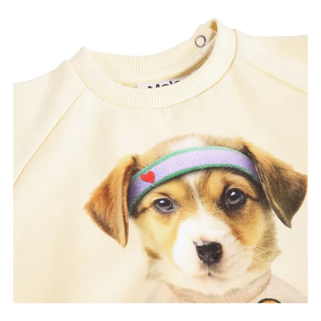 Pull Disc Chien Coton Bio | Ivoire