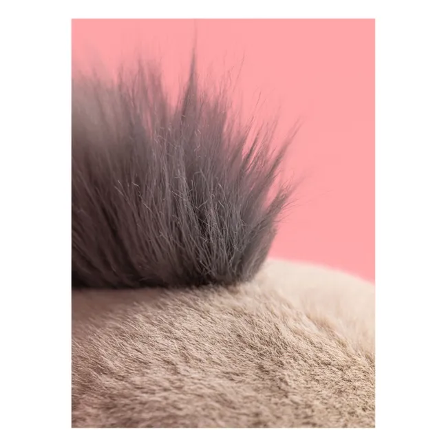 Peluche Roarwell Sea Lion