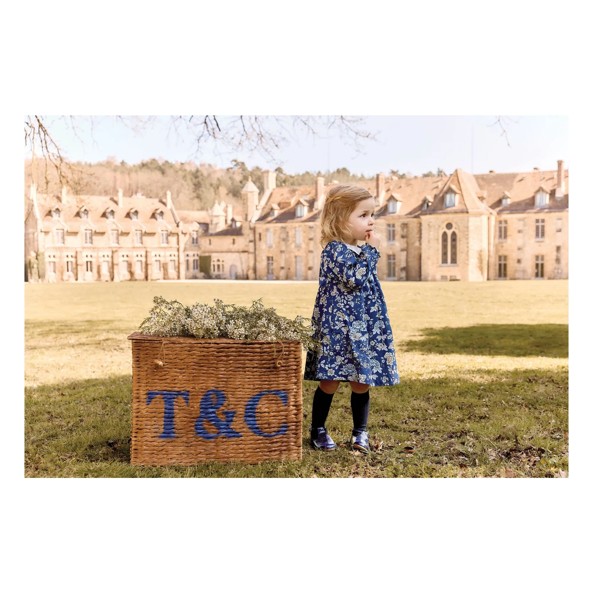 Robe Col Feston Fleurie | Bleu marine- Image produit n°6