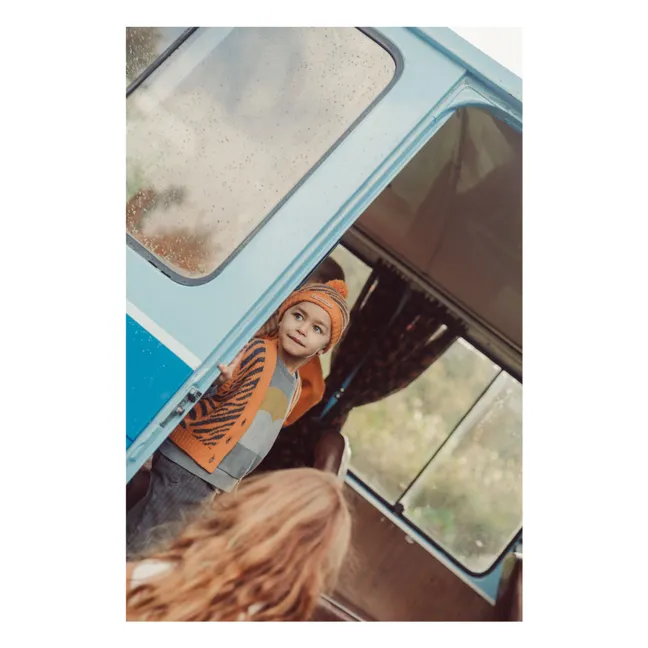 Bonnet Zèbre | Orange