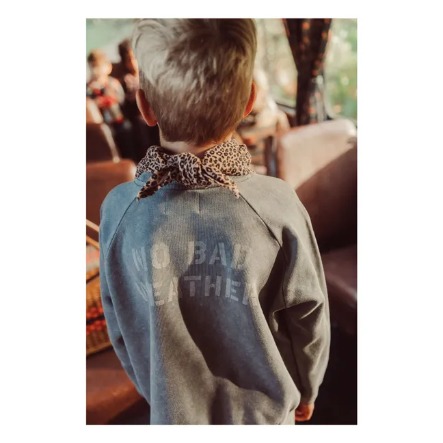 No Bad Weather organic cotton sweatshirt | Grey