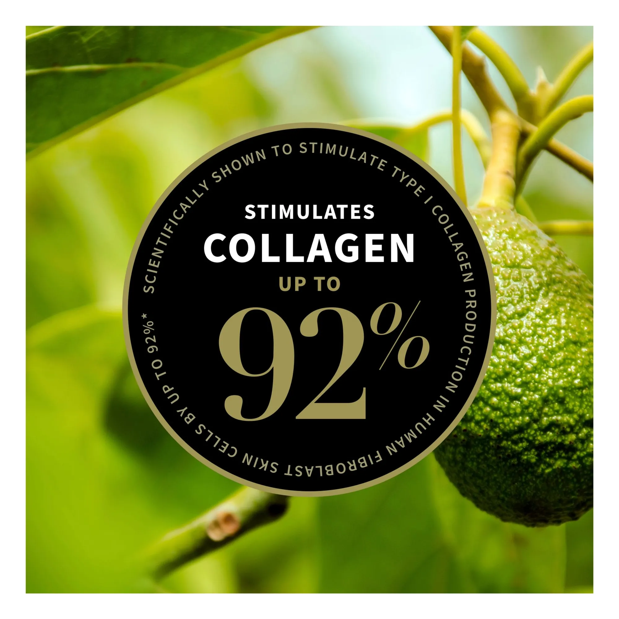 Crème de nuit à L'avocat - 60 ml- Image produit n°6