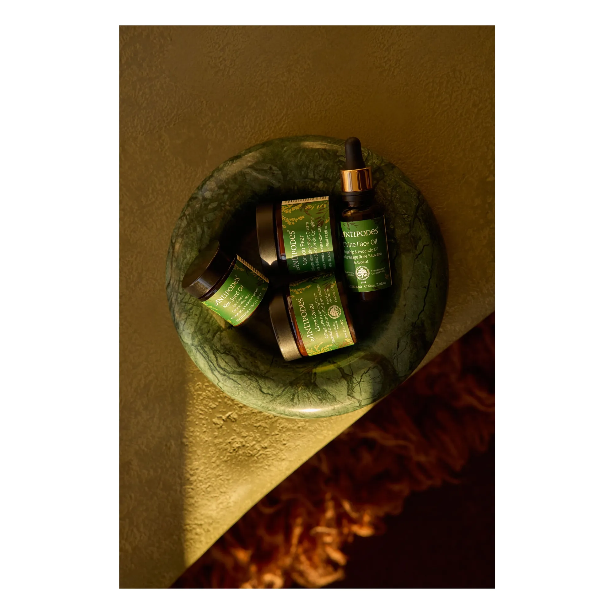 Crème de nuit à L'avocat - 60 ml- Image produit n°2