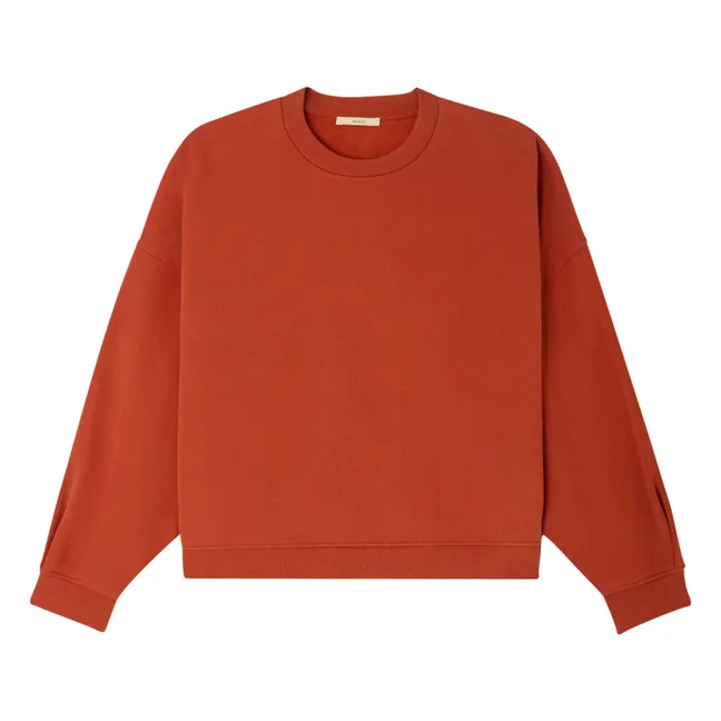 Inea Cotton sweatshirt | Brown