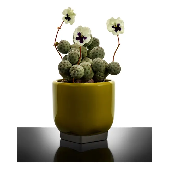 Cache-pot 02, Kris van assche | Jaune