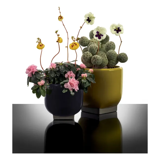 Cache-pot 03, Kris van assche | Violet