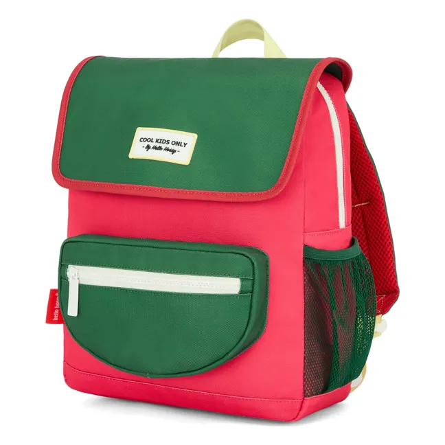 Mini Watermelon satchel | Pink