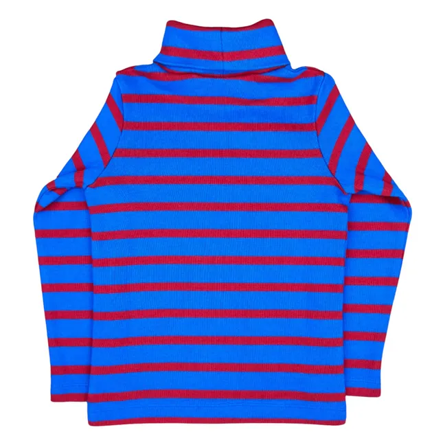 Col Roulé Rayé | Bleu