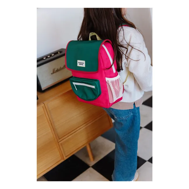 Mini Watermelon satchel | Pink