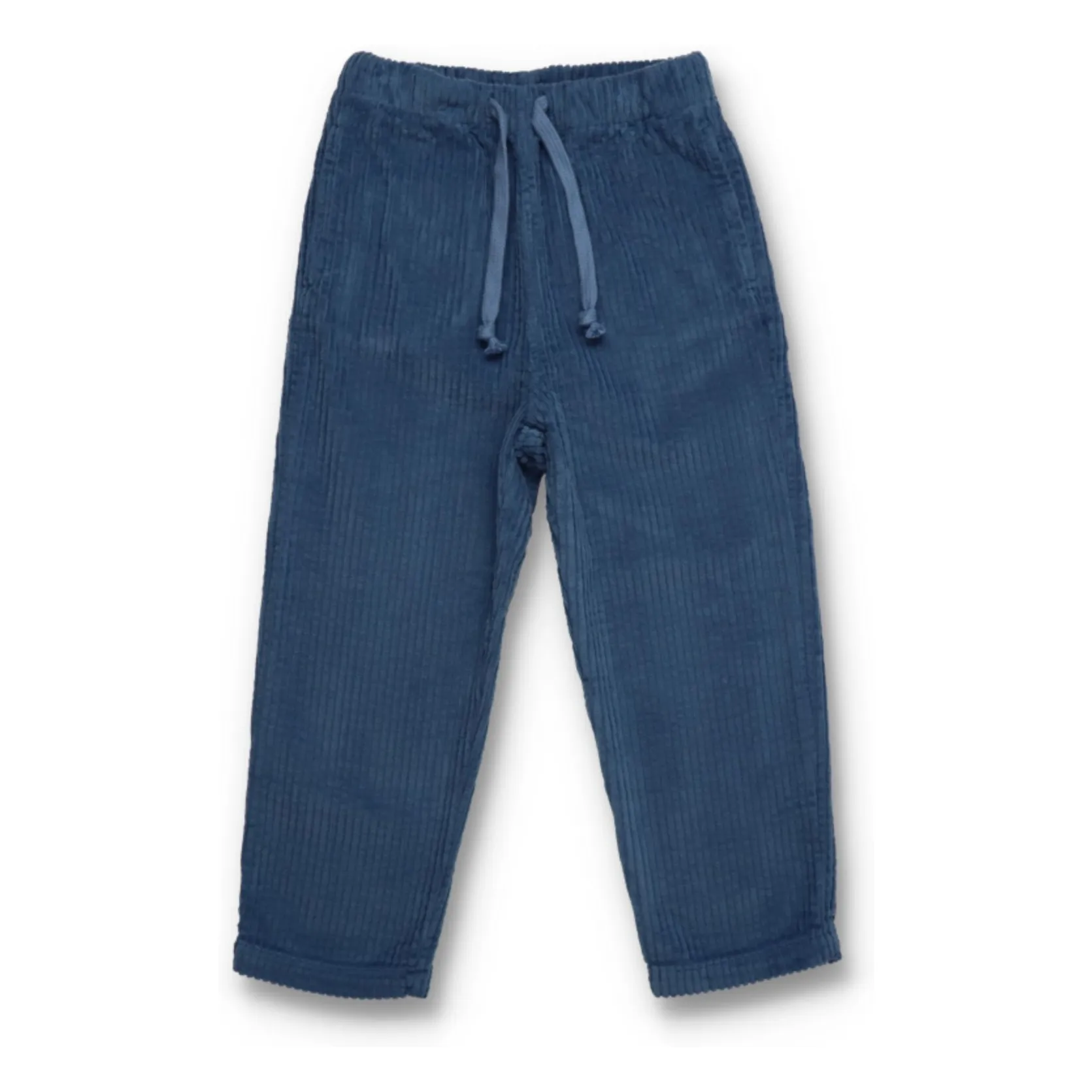 The New Society Blue Lapland Corduroy Pants