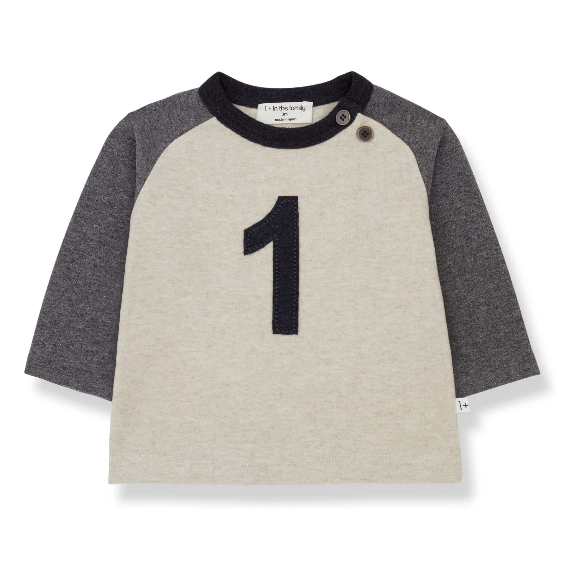 1+ In The Family Grey Genar T-Shirt