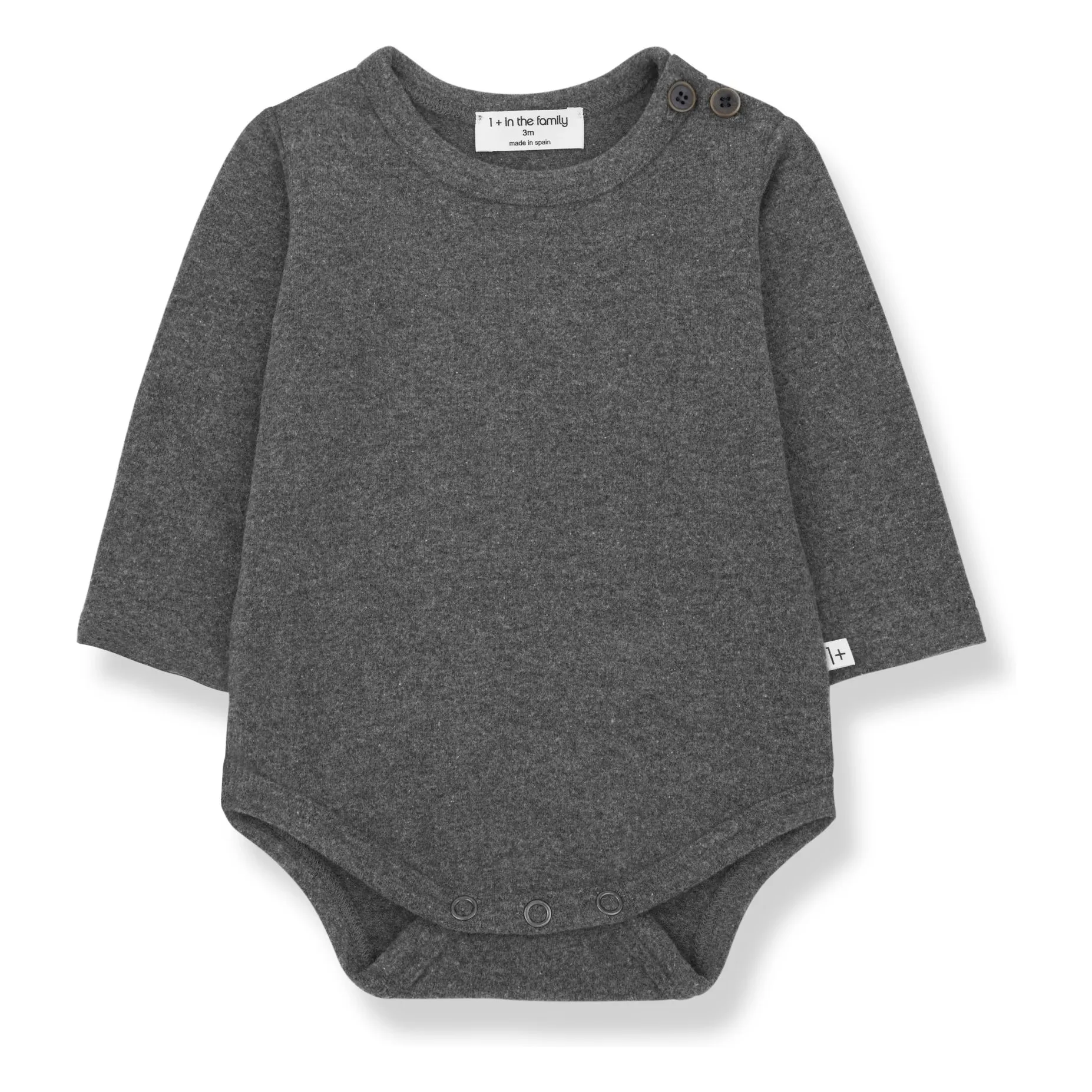 1+ In The Family Grey Body Enric