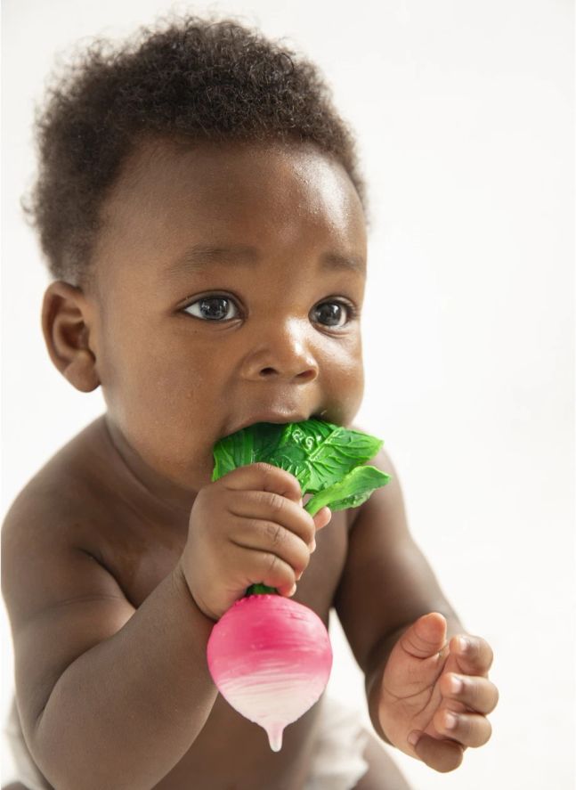 Ramona le radis de dentition | Rose