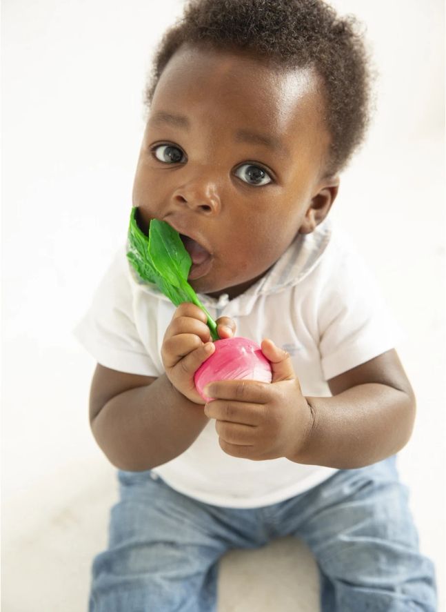 Ramona le radis de dentition | Rose
