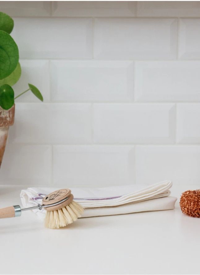 Brosse à vaisselle naturelle 