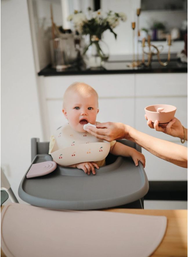Silicone Bowl | Blush
