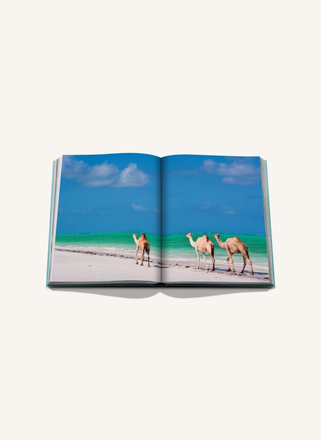 Red Sea : Arabie Saoudite