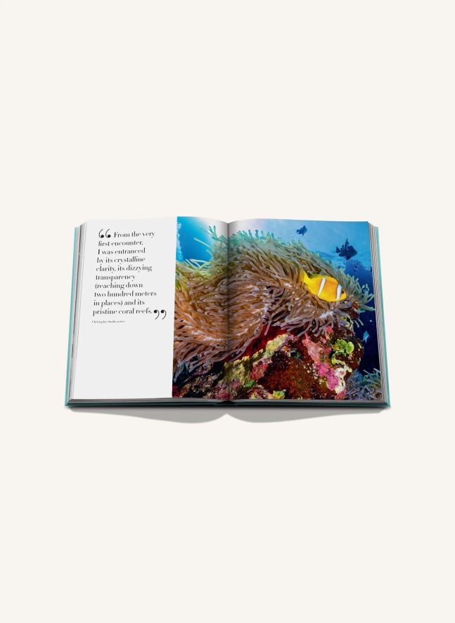 Red Sea : Arabie Saoudite