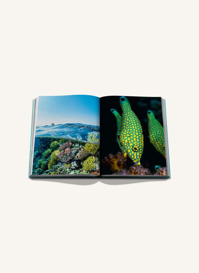 Red Sea : Arabie Saoudite