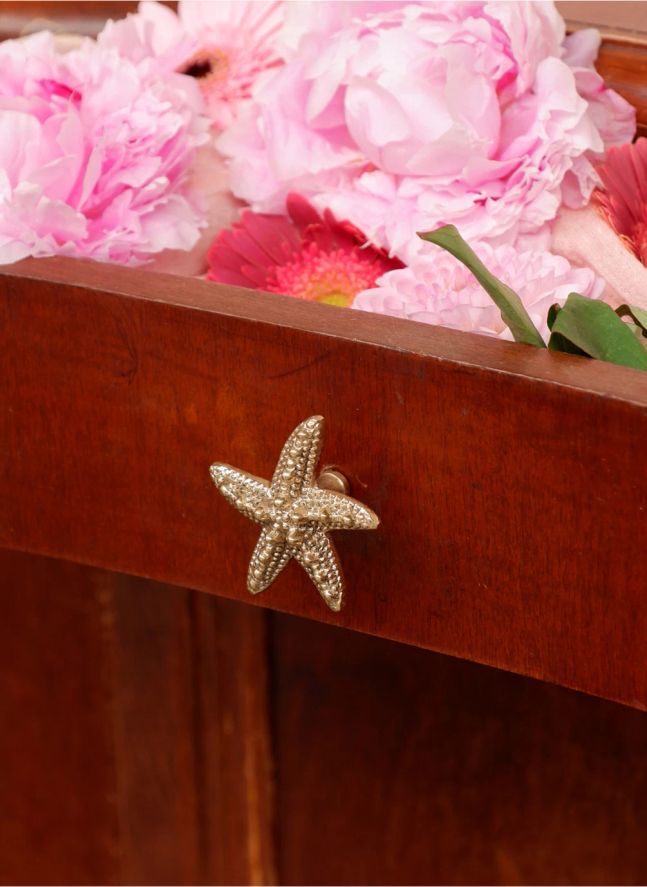Picaporte de latón Seastar Ruby | Gold