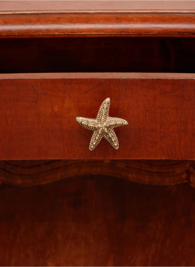 Picaporte de latón Seastar Ruby | Gold