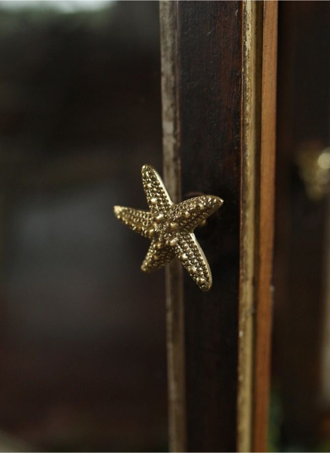 Picaporte de latón Seastar Ruby | Gold