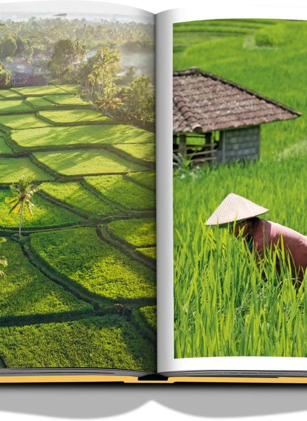 Bali Mystique