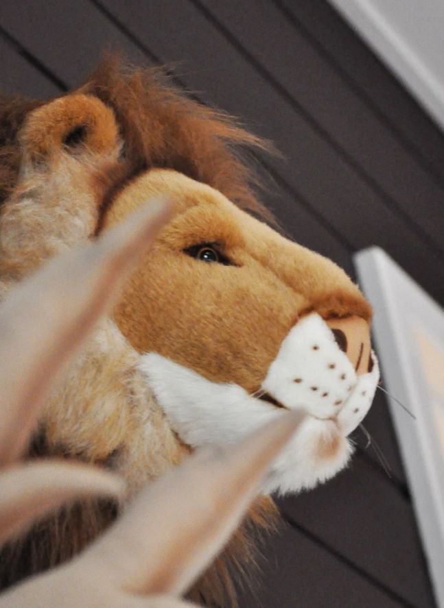 Trofeo Peluche León | Marrón claro