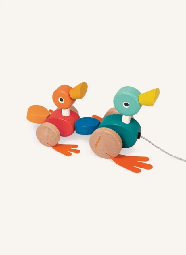 Famille Canard à promener