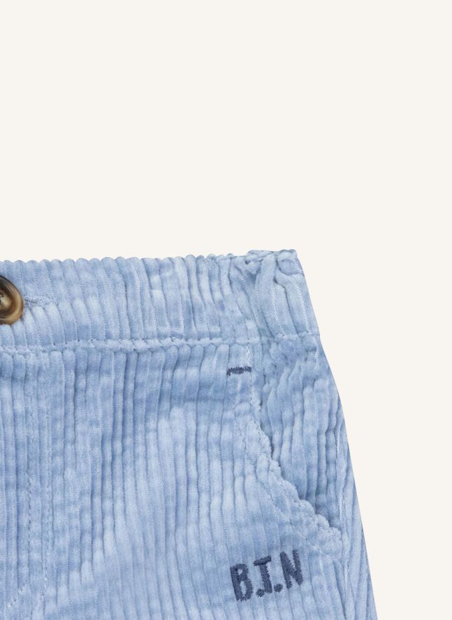 Paco Corduroy Pants | Light Blue