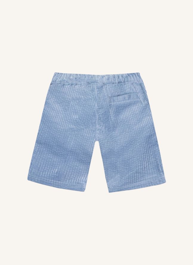 Pantalon Paco Velours Côtelé | Bleu Clair