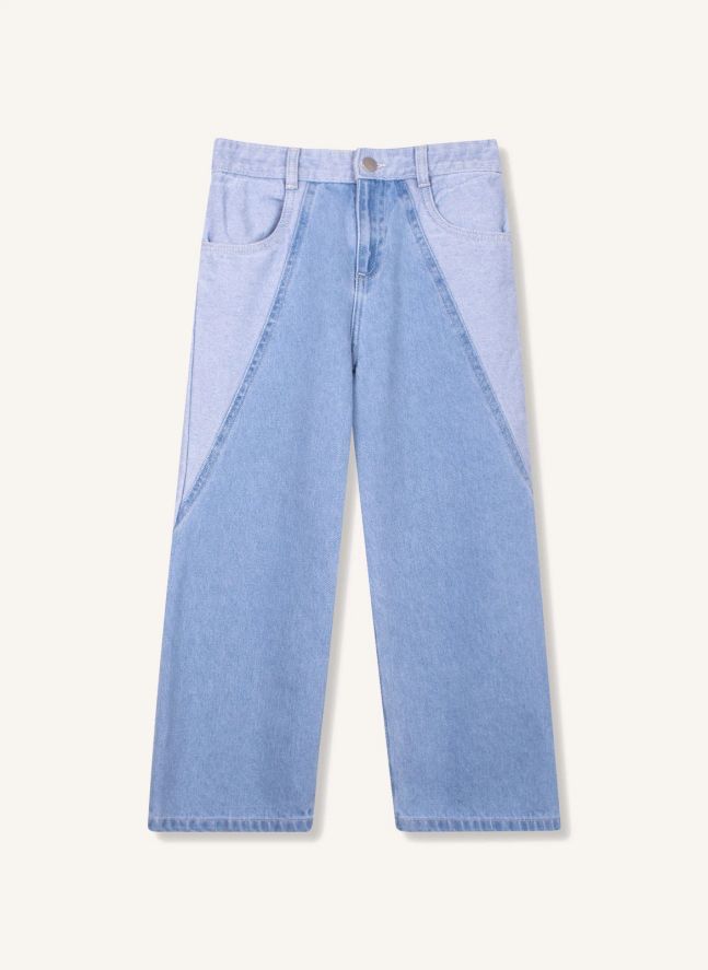 Jean Délavé | Bleu